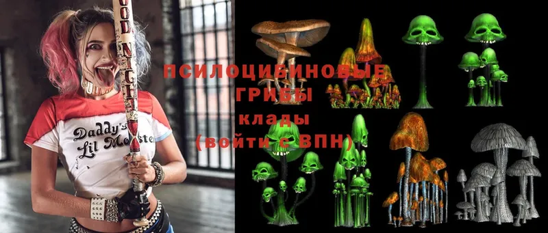 Псилоцибиновые грибы Magic Shrooms  хочу наркоту  Тобольск 